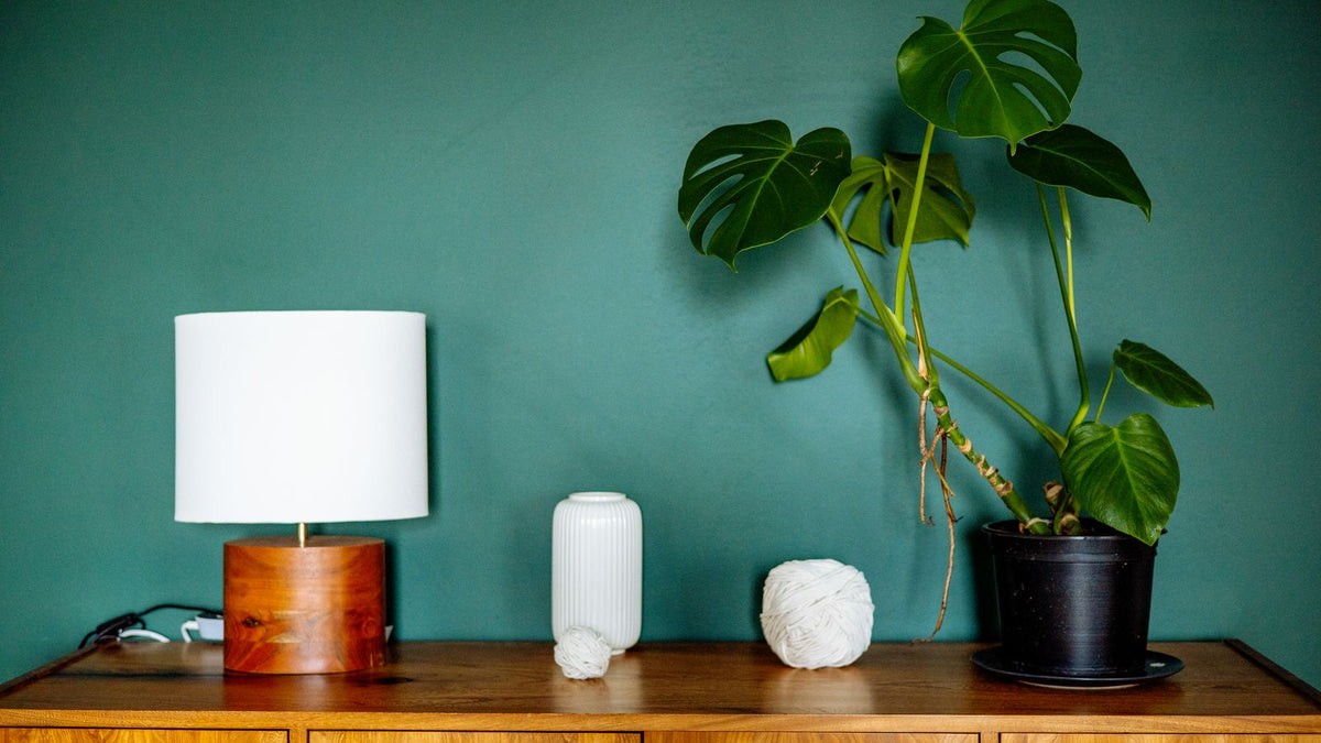 Mur bleu canard avec lampe à poser et grande plante verte