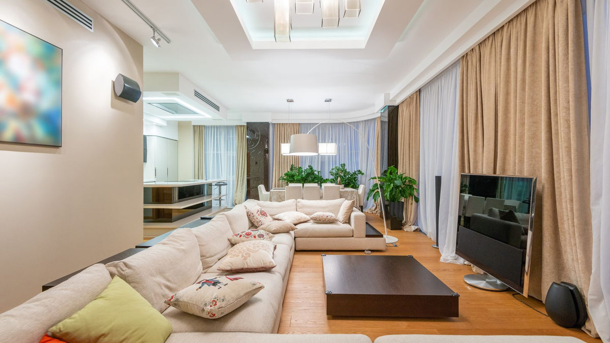 Salon spacieux et moderne à la décoration élégante et aux plantes