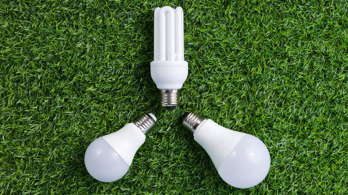 Ampoules de différents culots posées sur l'herbe