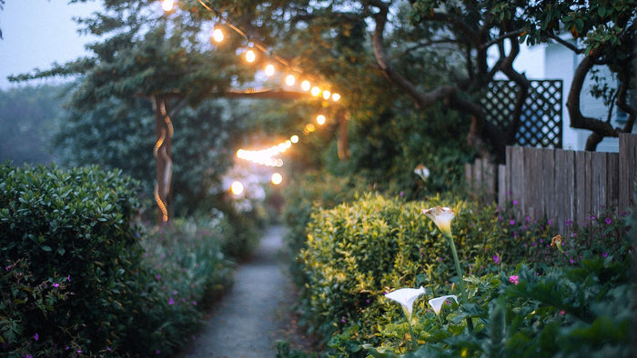 Éclairer une allée de jardin : balises, appliques, solaire ou filaire