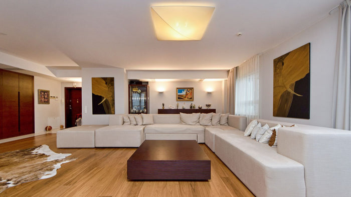 Salon spacieux et moderne à la décoration artistique et à l'éclairage soigné
