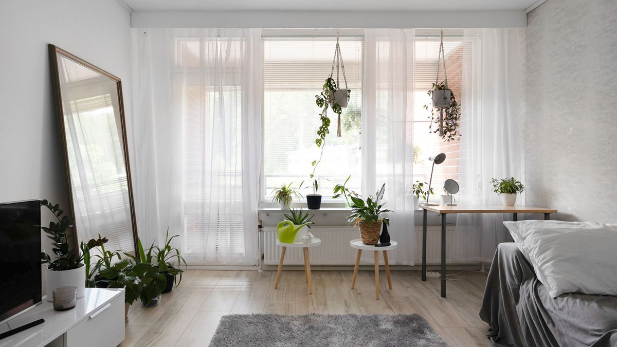 Petit salon lumineux agrandi par des voilages clairs et la lumière