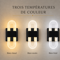 Trois temperatures de couleur applique noire #noir