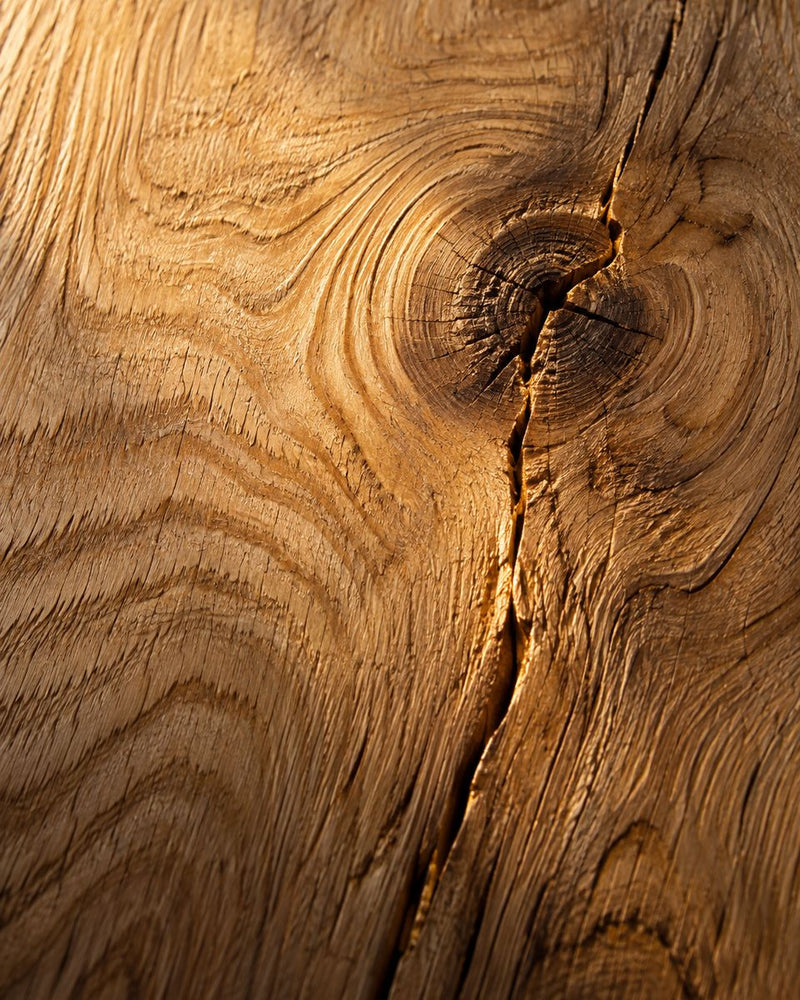 Holz